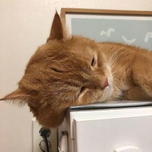 China壮男Gay野外男男
